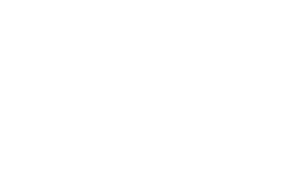 FAN Courier